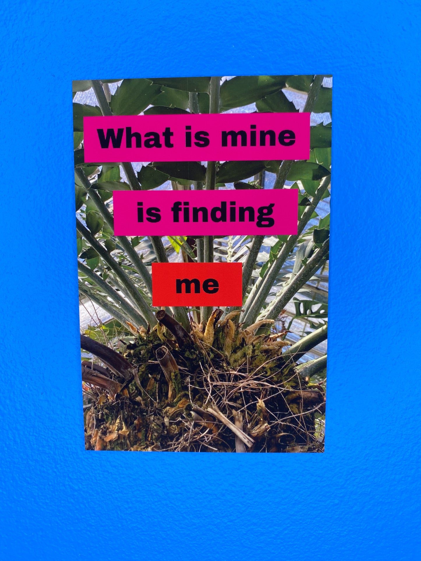 Affirmations Postcard Pack