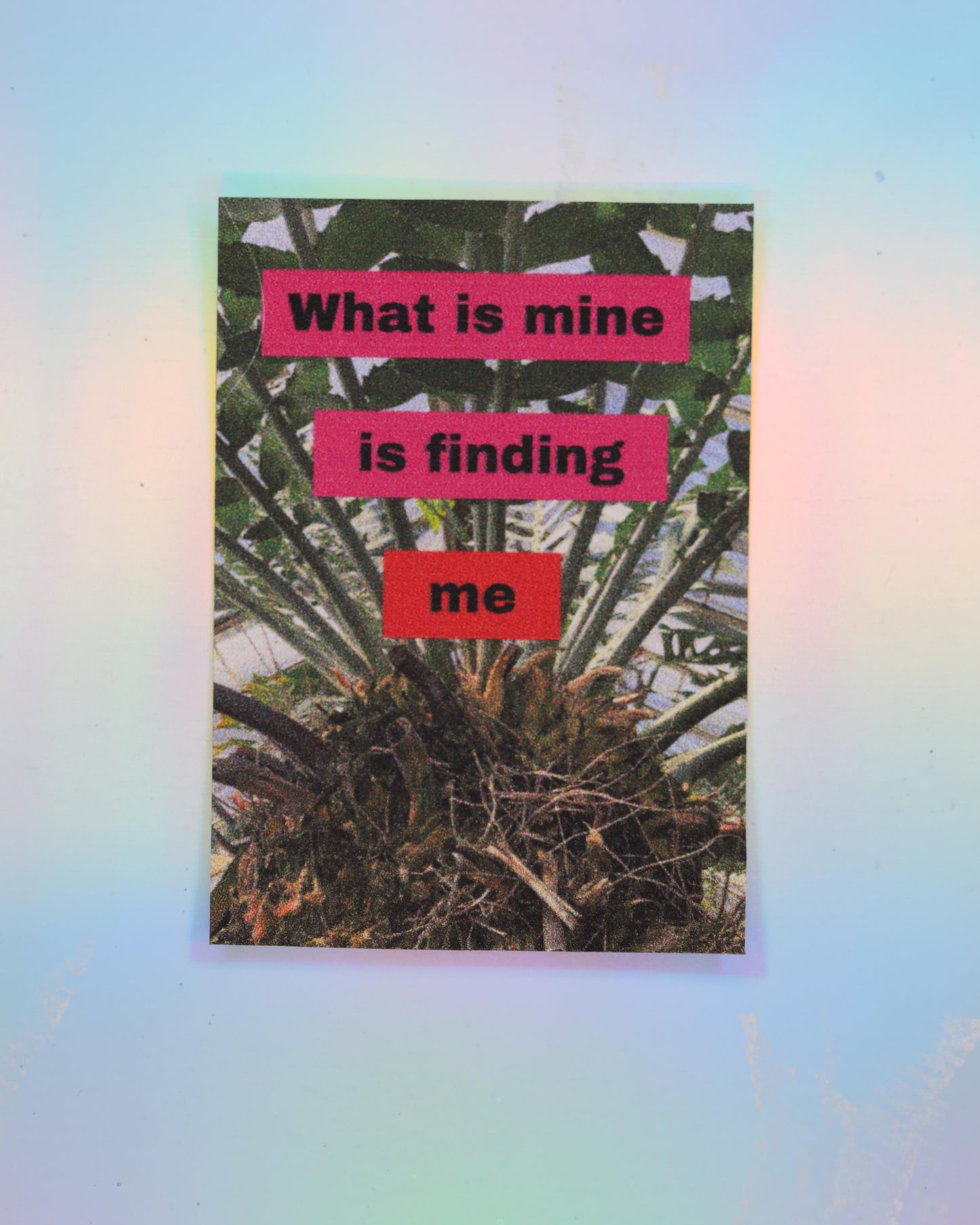 Affirmations Sticker Pack