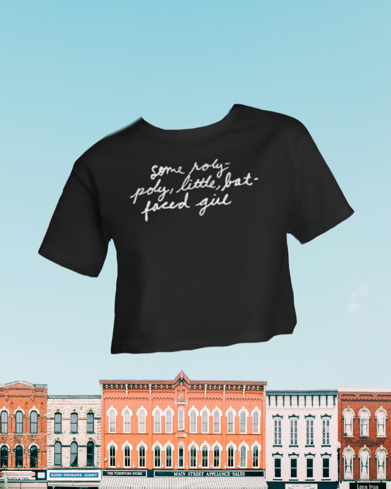 Paul Simon You Can Call Me Al, Some Roly-poly, Little Bat-faced Girl- Champion Women's Heritage Cropped T-Shirt