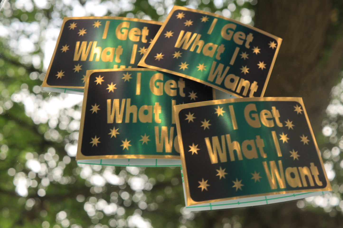 I Get What I Want Sticker